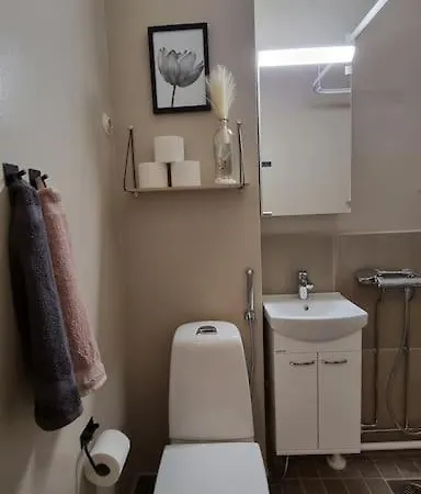 Kompakti Yksioe Sairaalan Laehellae Apartamento *