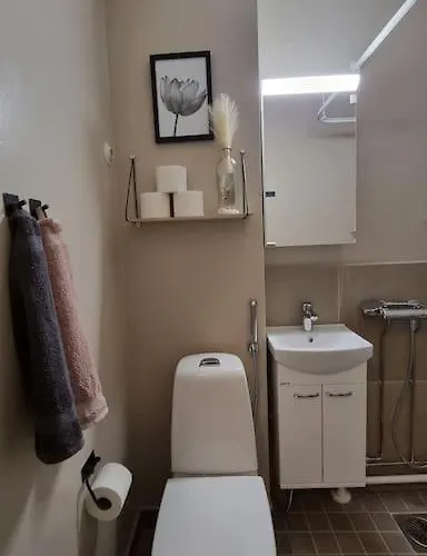 Kompakti Yksioe Sairaalan Laehellae Апартаменты *